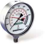 TEST GAUGE
