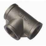 BSP STAINLESS STEEL