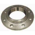 BSP THREADED FLANGE STAINLESS