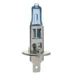 H1 HALOGEN GLOBES