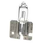 H2 HALOGEN GLOBES