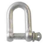 D SHACKLE GALVANISED