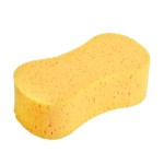 SPONGES