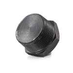 PLUG HEX BLACK STEEL BSP 10NB (3/8)