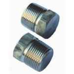 PLUG HEX G316 3000LB NPT 50NB (2)