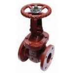 VALVE GATE FLANGED CAST IRON RISING C125 TABLE E 50MM (2)