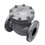 VALVE CHECK FLANGED CAST STEEL ANSI 150 250MM (10)