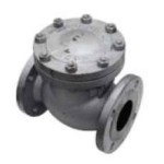 VALVE CHECK FLANGED CAST STEEL ANSI 300 200MM (8)