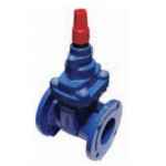 VALVE GATE SOFT SEAT (CLOCKWISE) TABLE C 600NB (24)