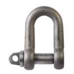 DEE SHACKLE PIN SCREW 2T BLACK (GRADE M) M19 X 22