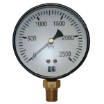 HYDRANT GAUGE KPA PG-100-2500-1/2