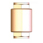 SPRING-LOADED INLINE CHECK VALVE 65MM BSP BECV065