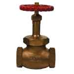 HEAVY DUTY STEAM GLOBE VALVE BRONZE 20MM BSP VGL-501-020