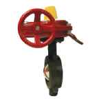 MONITORED WAFER BUTTERFLY VALVE GEAR 80NB