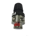 REGULATOR 1/2IN S/S 01000 KPA