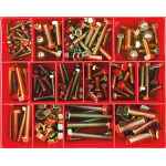 CHAMPION ASSORTMENT KIT SET SCREW & NUTS ZP CL8.8 CA196