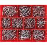 CHAMPION ASSORTMENT KIT ALUMINIUM BLIND RIVETS CA502