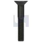 FLAT HEAD SOCKET SCREW M20 X 70