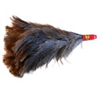 FEATHER DUSTER CSM NO. 9