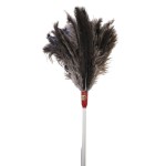 FEATHER DUSTER CSM NO. 10