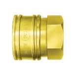 BRASS TSP CUPLA 3/4IN FEMALE SOCKET 6TSFB