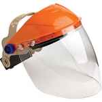 VISOR & BROWGUARD ASSEMBLED CLEAR ANTIFOG EXTRA HIGH IMPACT
