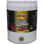 SEPTONE MAGIC SHINE VINYL  PLASTIC & RUBBER REJUVENR 20L