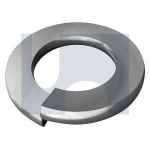 SPRING WASHER G316 M10