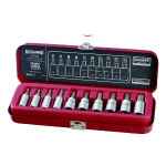 TORX SOCKET SET 1/4 & 3/8DR 10 PCE SIDCHROME