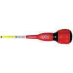 ELEC STRIKE-THRU SLOTTED 5.0 X 100MM TOLEDO