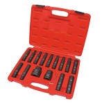 INSERT BIT SOCKET SET MASTER TOLEDO 16 PCE TOLEDO