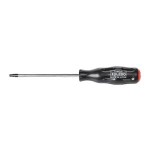 TAMPERPROOF TORX T27 X 125MM TOLEDO