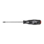 TAMPERPROOF TORX T30 X 125MM TOLEDO