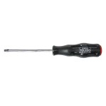 TAMPERPROOF TORX T40 X 125MM TOLEDO