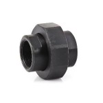 UNION BLACK STEEL/BRONZE FEM/FEM BSP 100NB (4)