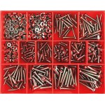 CHAMPION ASSORTMENT KIT FINE THREAD SCREW & NUT CA228