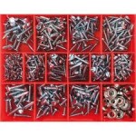 CHAMPION ASSORTMENT KIT SELF TAPPING SCREW SLOTTED CA550