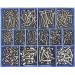 CHAMPION ASSORTMENT KIT G304 SELF TAPPING SCREWS CA1810