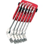 SPANNER SET COMBINATION ROE GEARED FLEXIBLE HEAD METRIC 6 PIECE SIDCHROME