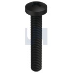 SCREW METAL THREAD ZBP (BLK) PAN HEAD XR M6 X 25