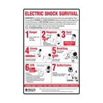 SIGN ELECTRIC SHOCK SURVIVAL METAL 450MM X 600MM