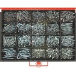 CHAMPION MASTER KIT ZP MACHINE SCREWS & NUTS CA2710